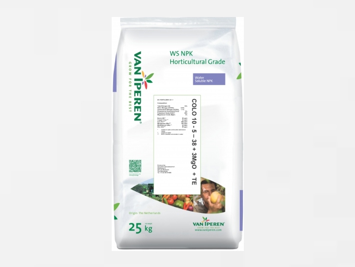 WS NPK 10-5-38 + 3 MgO +Te 